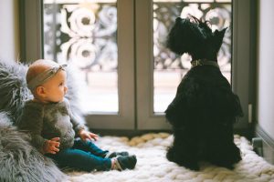 3 Things That Need Your Attention When Getting Your Kids A Pet
