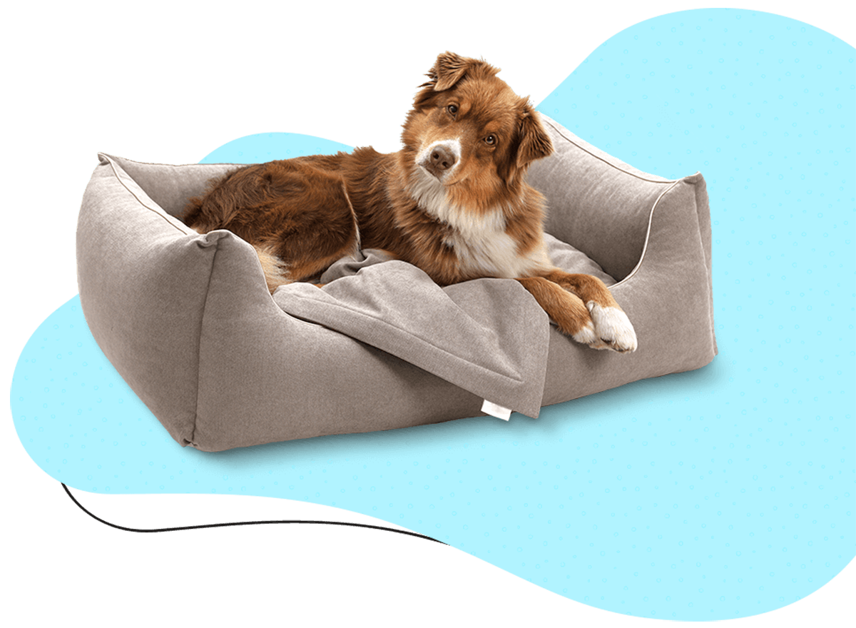 https://littlecrumblesdogbakery.com/wp-content/uploads/2023/01/dog_bed.png