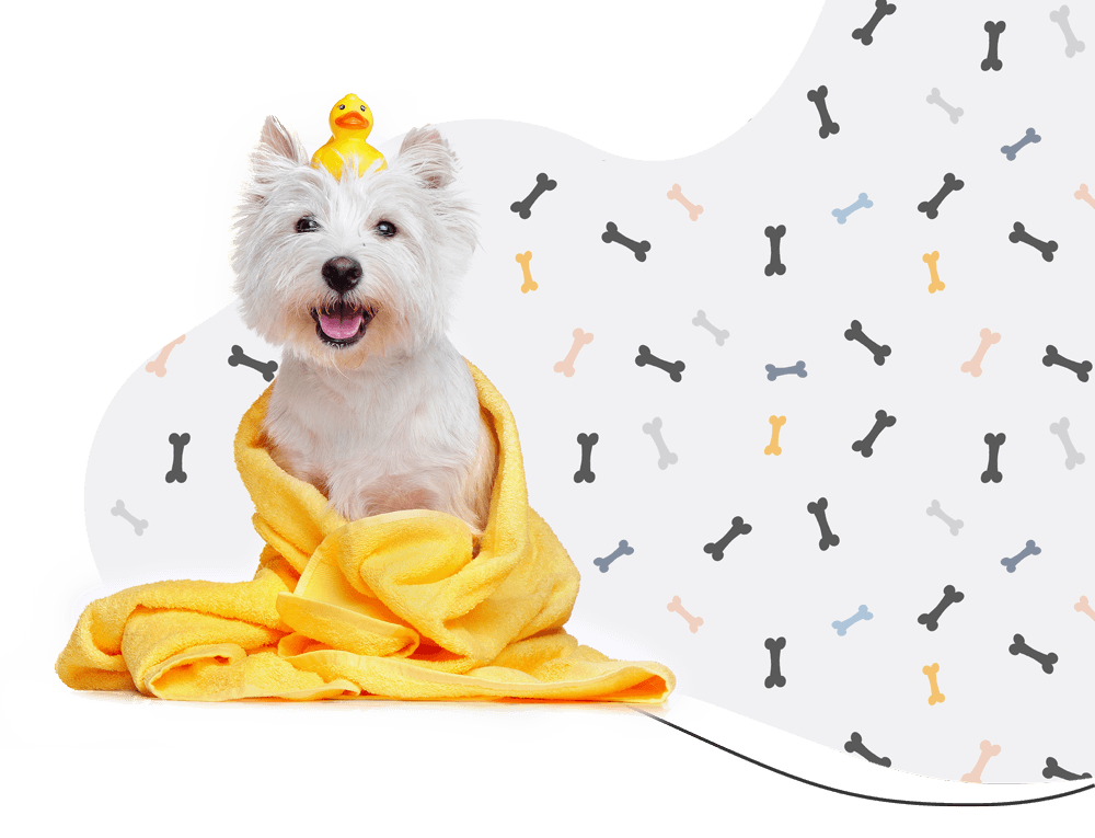 https://littlecrumblesdogbakery.com/wp-content/uploads/2023/01/dog_towel_wash_loyalty.png